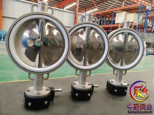 D371X304抛光板对夹蝶阀