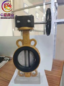 涡轮对夹蝶阀
